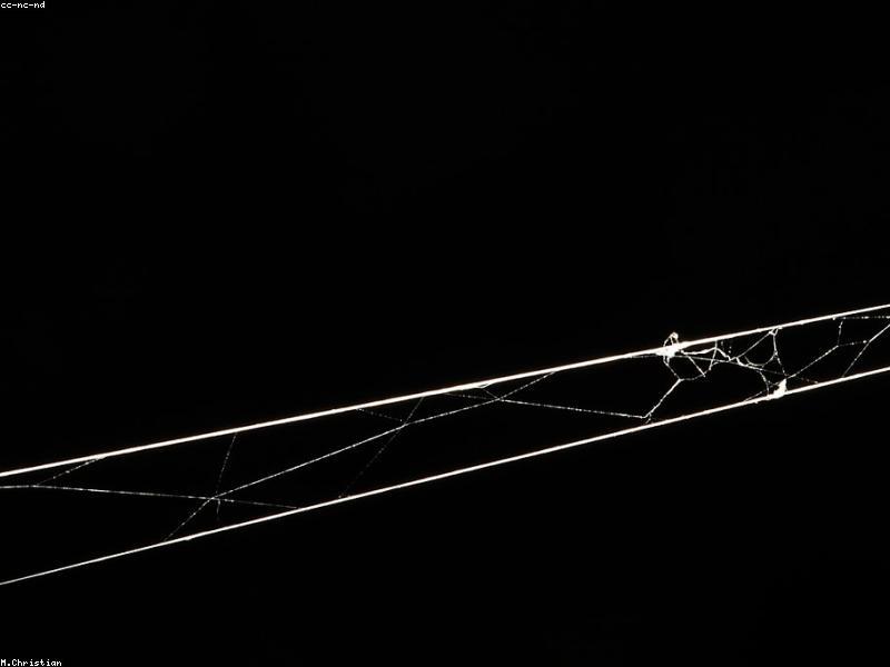 Abstract digital threads weaving together