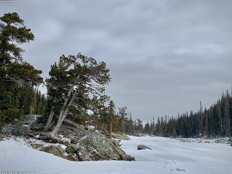 A tent pitched in a meadow with the Rocky Mountains in the background