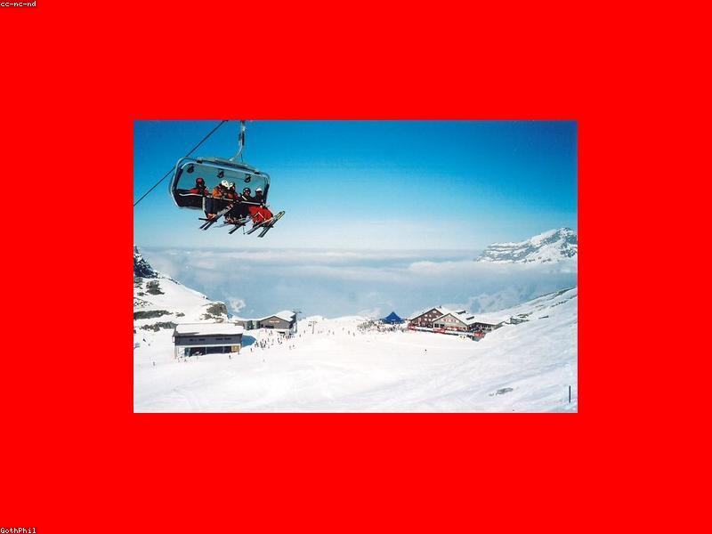 A skier carving down a snowy mountain slope with pine trees