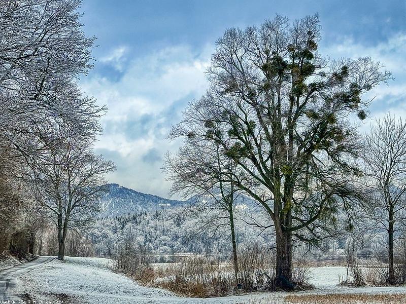 A geyser erupting in a snowy landscape with steam rising