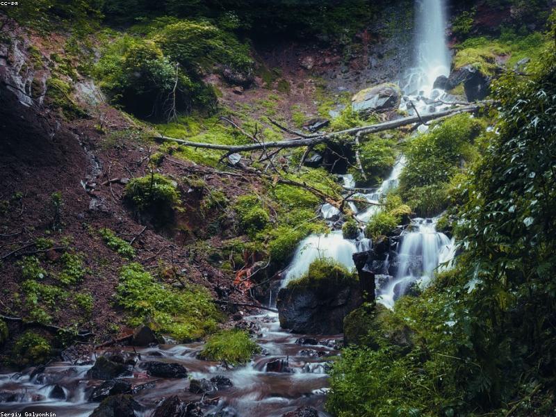 A cascading waterfall surrounded by lush green forest