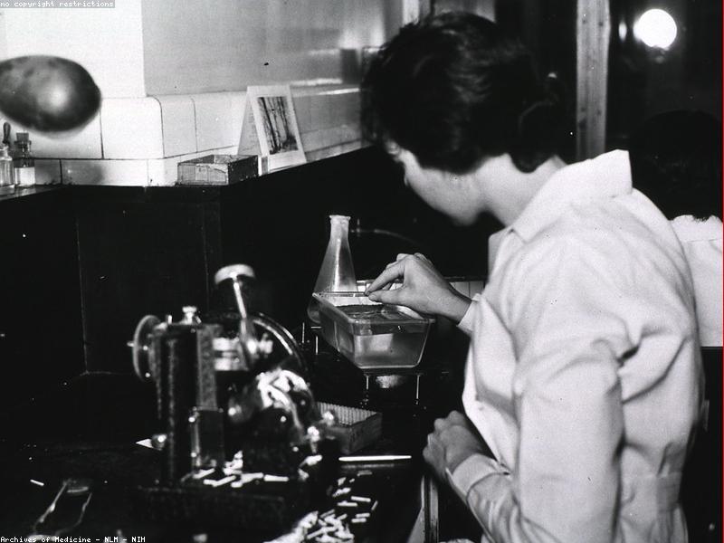 Researcher using Claude AI for academic research