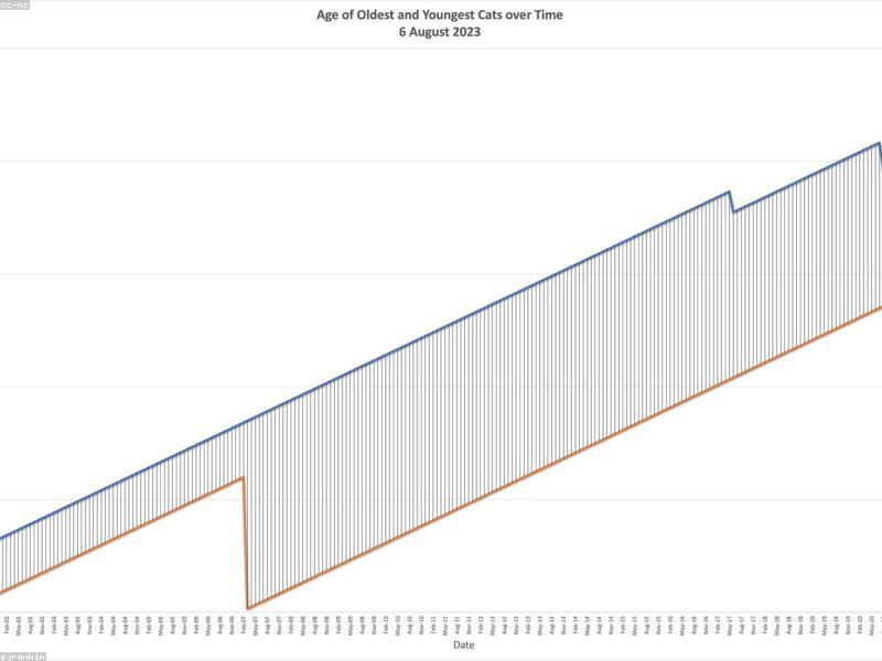 A glowing graph showing an upward trend with robotic elements