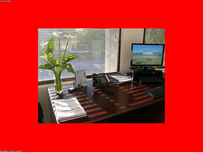 A clean laptop on a wooden desk next to a cup of tea and a small plant