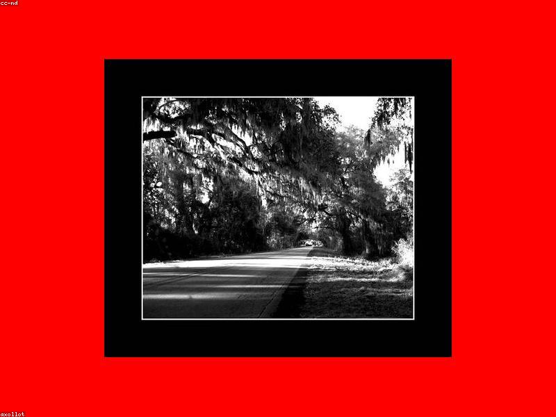 Couple walking on cobblestone street in St Augustine historic district
