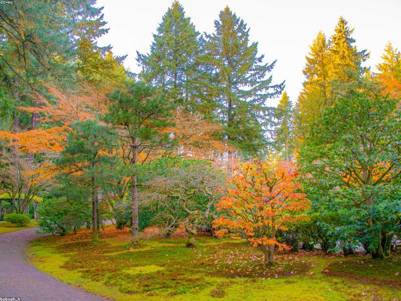Couple walking through Japanese Garden in Portland with traditional architecture